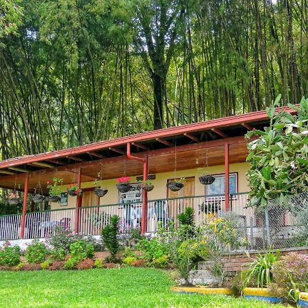 Finca Turistica Los Rosales Pereira Exteriér fotografie