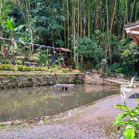 Finca Turistica Los Rosales Pereira Exteriér fotografie