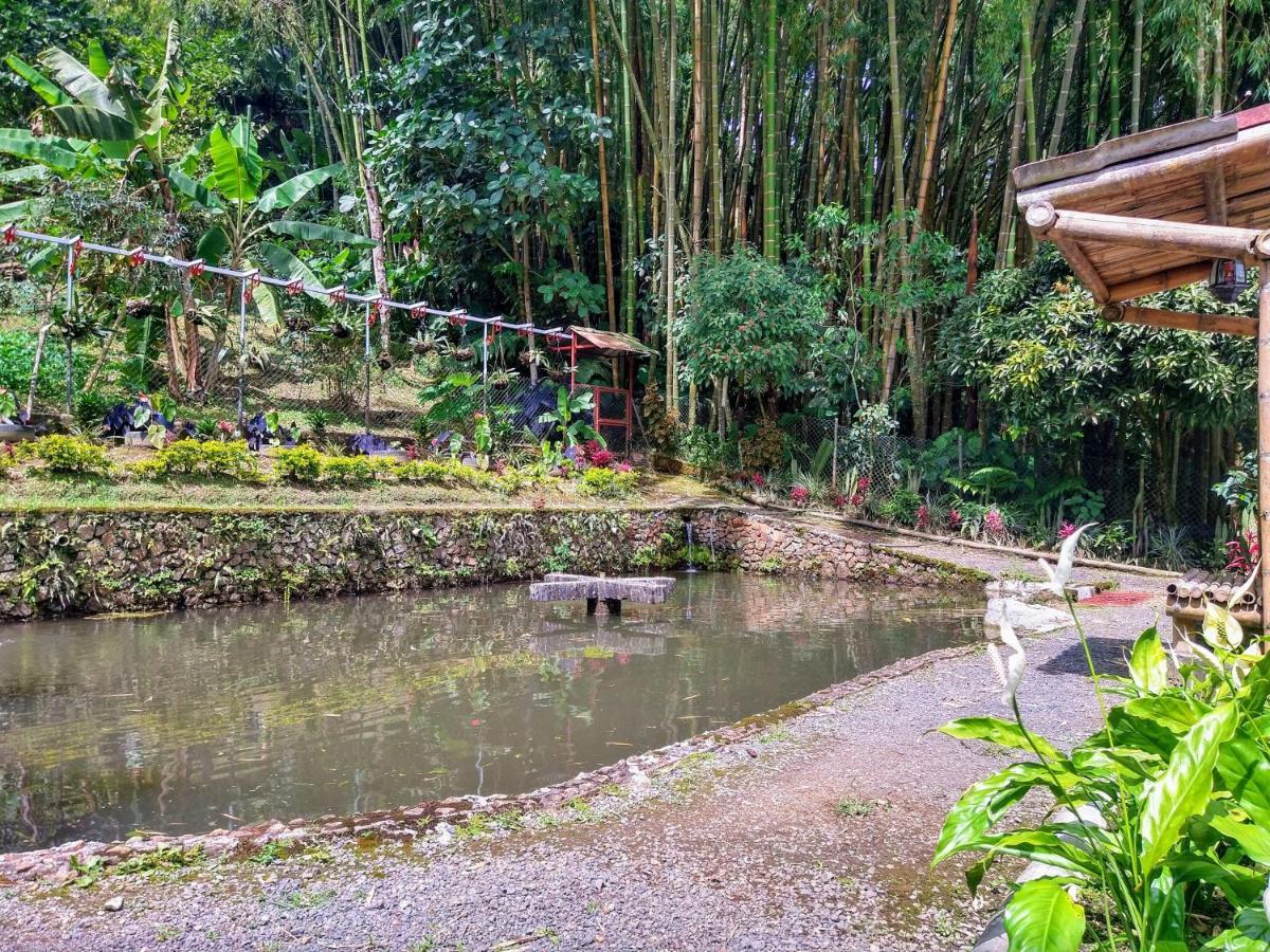 Finca Turistica Los Rosales Pereira Exteriér fotografie