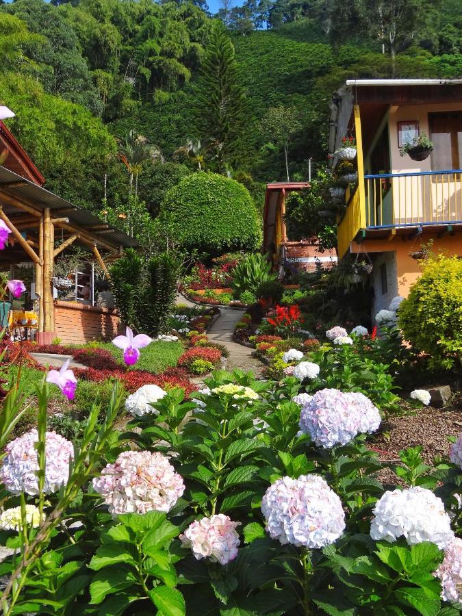 Finca Turistica Los Rosales Pereira Exteriér fotografie
