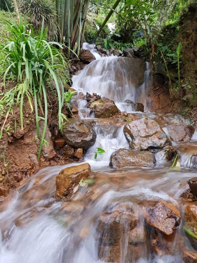 Finca Turistica Los Rosales Pereira Exteriér fotografie